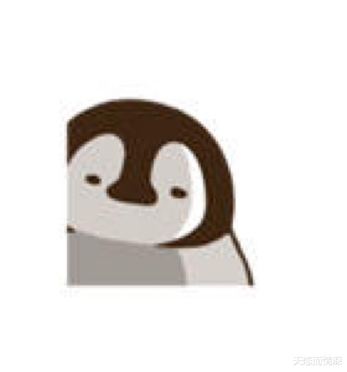 電影|2021年中有哪部動畫是你的意難平？