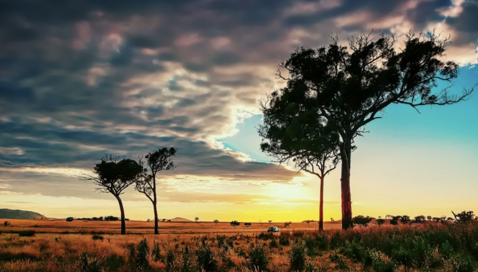 白羊座|智慧过人，却喜欢装傻充愣的星座，城府极深，心肠不坏，捉摸不透