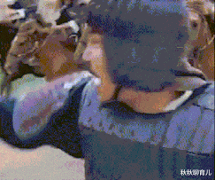 秋秋聊育儿|“老婆发来的照片，结了婚的人懂！”哈哈哈该交公粮了！