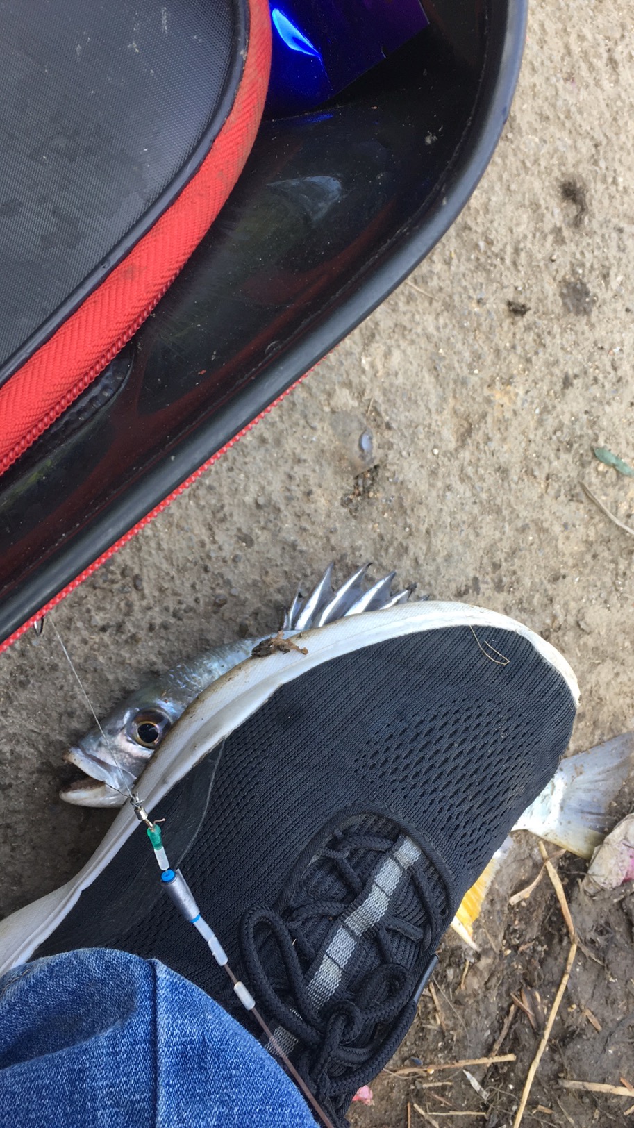 |努力工作但也要注意劳逸结合哦！