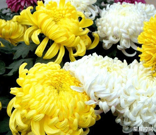 |啥日子出生的人,贫穷生活不磨灭斗志,迟早要长志气变富贵