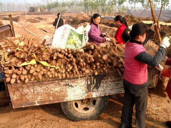 墨竹一休 04年河北磁县奸杀开膛挖心大案 ——林致