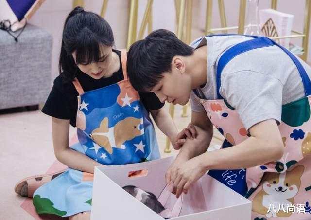 张恒|张恒发文道歉:没有给你们完整的家,没有让你们得到过一天的母爱