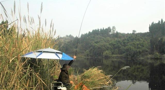 饵料|钓鱼打窝不等于做窝，窝做得好，钓大鱼可连竿