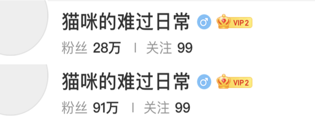 孙一宁|孙一宁“趁热打铁”开启直播，粉丝狂刷礼物，一夜涨粉200万