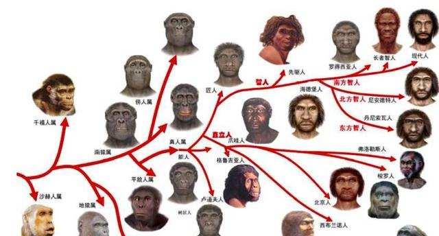 二氧化碳 黑人基因与白人、黄种人哪个更近？基因相似度或解开人类起源之谜