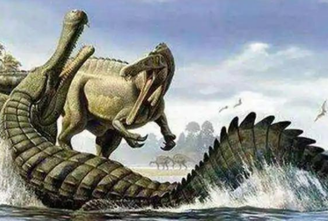 巨龟 还记得西游记中的载人巨龟吗？它真的存在，龟壳连电钻都钻不透