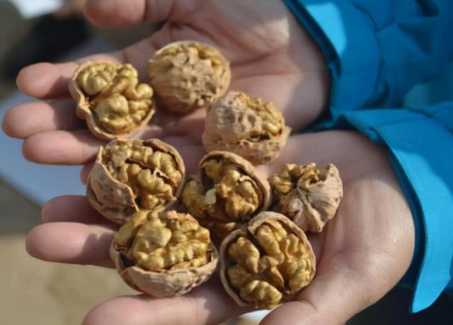 失眠|长期失眠的人,须谨记:2个饮食习惯要早改,4种助眠食物可常吃