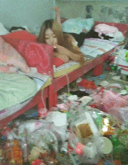 动物庄园|老婆被公司安排出差,她说酒店环境很好,我该怎么提醒她注意安全?