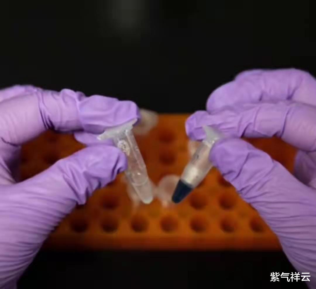 二氧化碳 中国科学家突破二氧化碳人工合成淀粉技术 喝西北风也能填饱肚子了