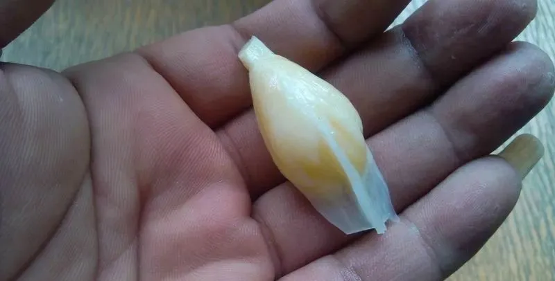 文玩|钓鱼与文玩居然是双重快乐