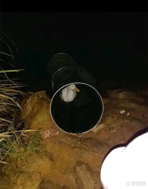 |成年男人的「欲望危机」，从钓鱼开始！