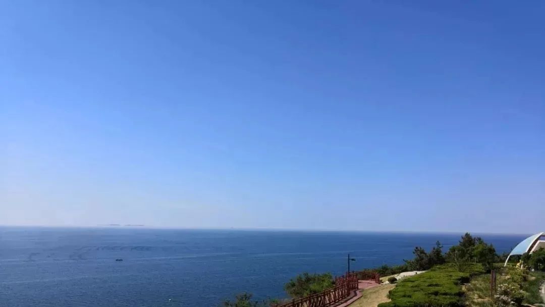 文化关注 网友爆料!烟台这处海边水里漂浮物多,海水有污染!