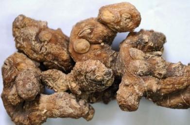 陈智勇|黄精的药用实验作用及食用禁忌主要体现在哪些方面呢？