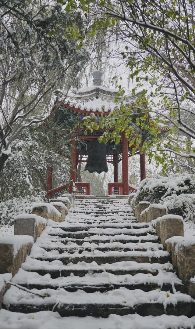 清华大学|愿以三分初雪，勾勒百景清华（多图）