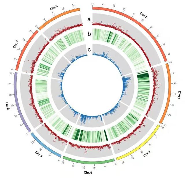 祝融号 “桃李不言”为何能“下自成蹊”？答案有了
