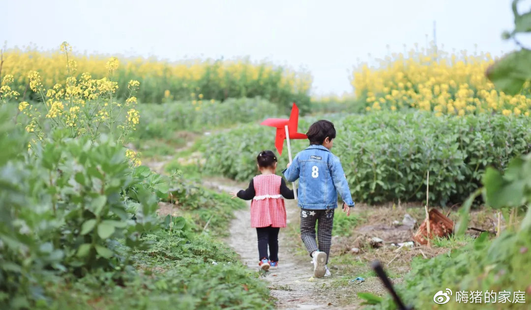 嗨猪的家庭|看到这对母子饭桌上的一幕,才明白为什么有的男孩注定受欢迎