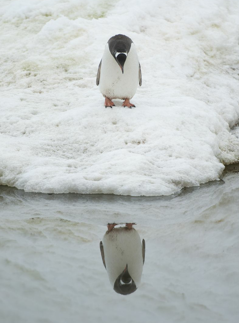 禽倌|什么样的人适合射手座?适合真不算个啥问题!重中之重另有文章