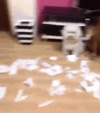 动物庄园|“漫展看到一位乌漆嘛黑妹子，请问她扮演的角色是谁？”