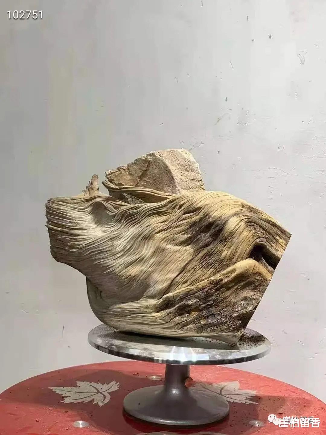 |3.8亿崖柏带给我们的是什么呢？