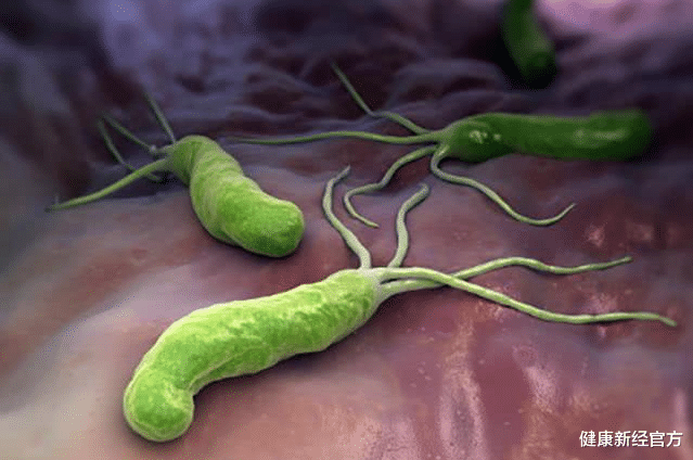 胃溃疡|28岁老师患胃溃疡，半年后恢复正常，医生：1物吃一次相当于8斤山药！