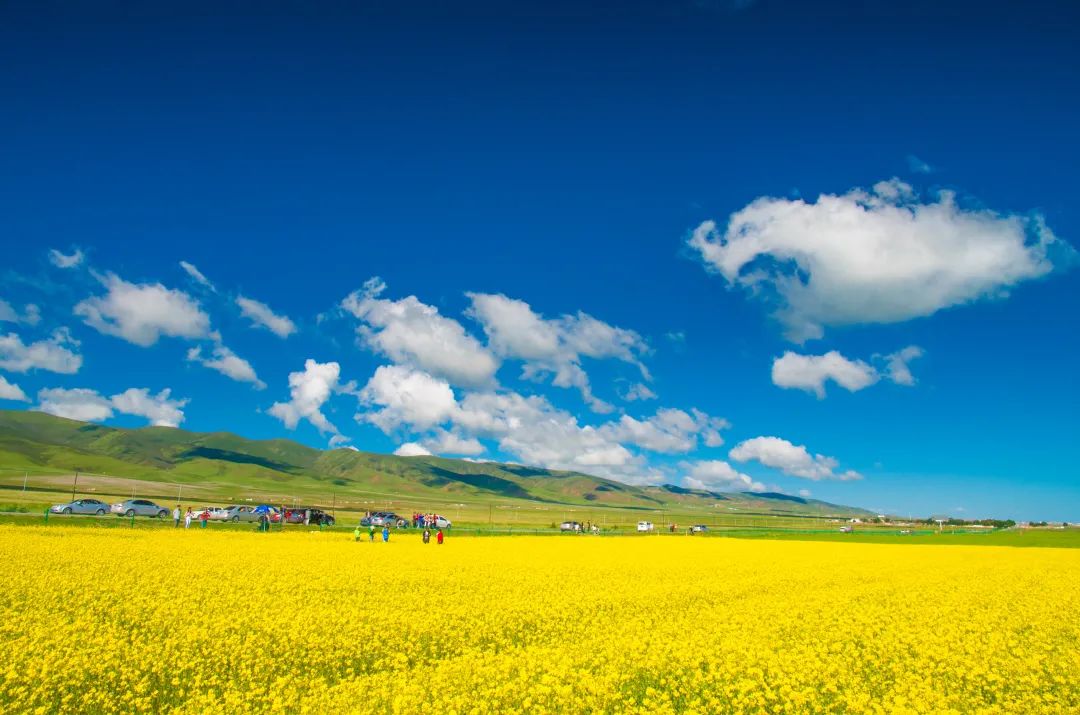 祁连山 这条夏日大环线，一次遇见大半个中国！堪称美景收割机~