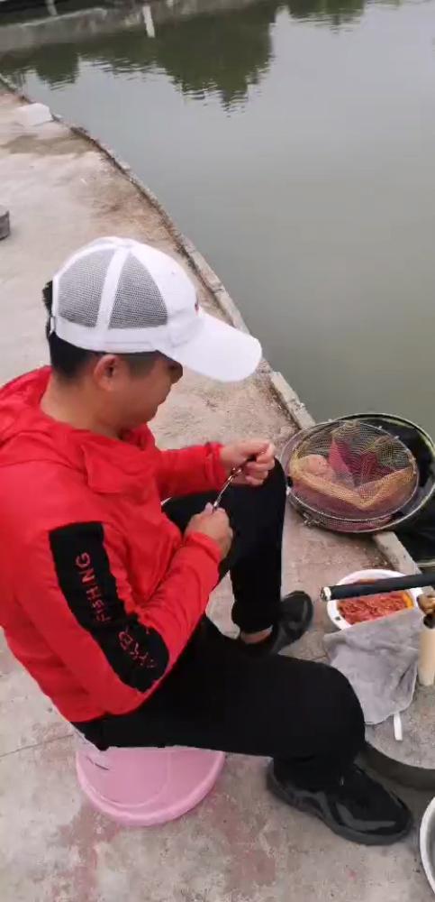 |【汀友同城约钓】同城五人组合，相约黑坑约钓，相互交流！