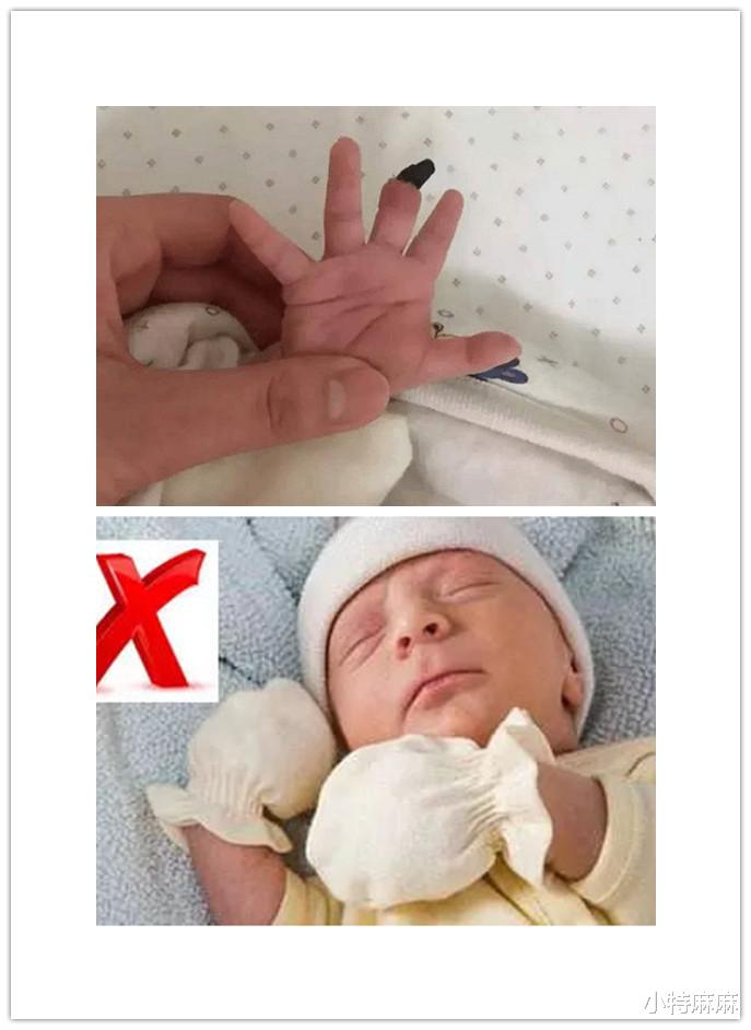 小特麻麻|新生儿护理手册（上），新手爸妈请收藏