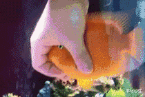 书尽心生|神回复:玩游戏遇到这种情况,你脑子里头一个念头是什么?