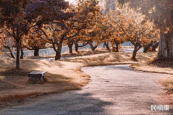 养生|不想让身体像枯叶一样颓败？深秋养生三步走，每一步都不能踏错