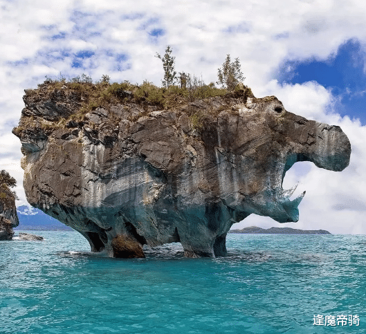 赛亚人|源自大自然的cosplay，大山、小岛化身动物，你都看得出来吗？