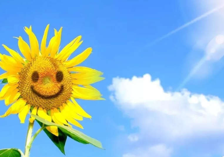 甲状腺疾病|豆腐是甲状腺疾病的“催化剂”吗?医生:养护甲状腺,少吃3物,多做3事