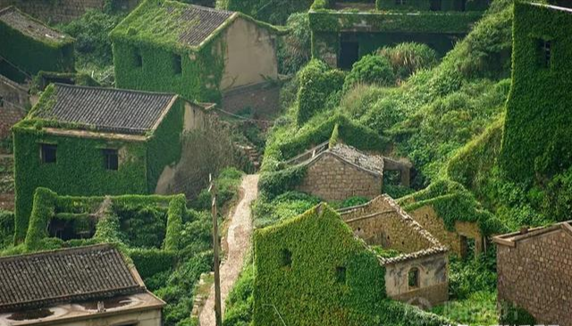 陈炎宏聊 未来10年，农村会不会消失？