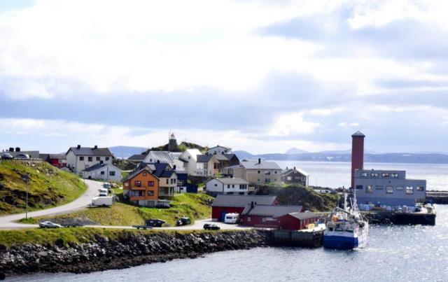 蜘蛛 为什么北极圈内蚊子多？