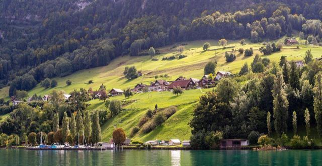 德国队|在德国钓鱼“人很惨”，在中国钓鱼“鱼很惨”，差距咋这么大呢