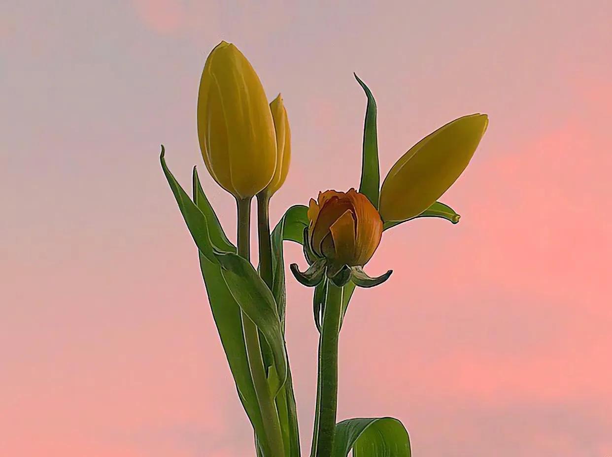 大肠腿在这里|人老了，做好这三件事，福分深沉