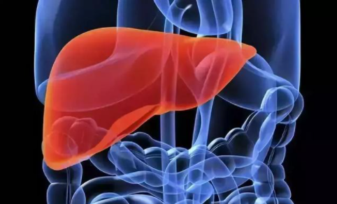 便秘|身体瘙痒，多半肝脏已病变，医生提醒：身体2处“瘙痒”，及时就医