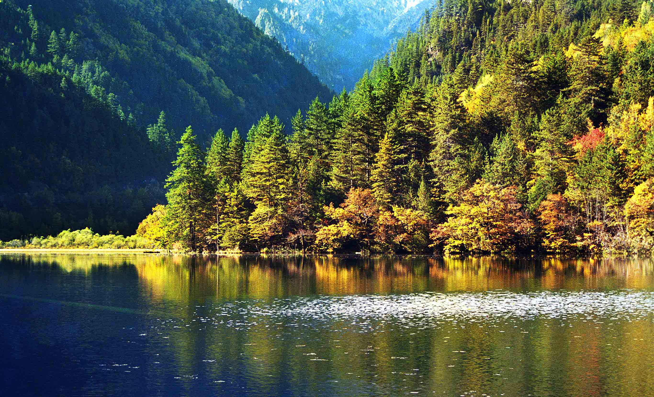 纳税义务人|我活成了自己曾经很鄙视的样子