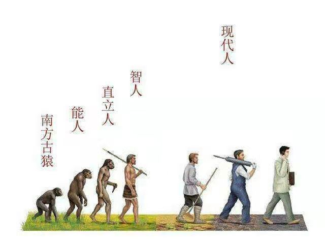【从零开始认识世界历史】人类的诞生,从洪荒走来,在混沌中创建秩序