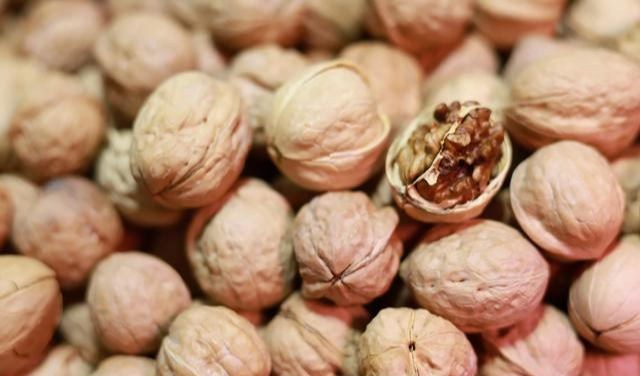 定焦镜头|为什么有的摄影师特别喜欢50mm定焦镜头，有的摄影师却不爱用？