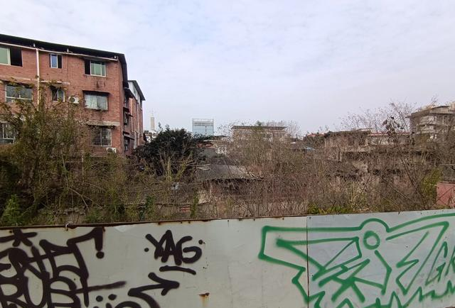 马慧玲说 农村拆除旧房的目的是什么？