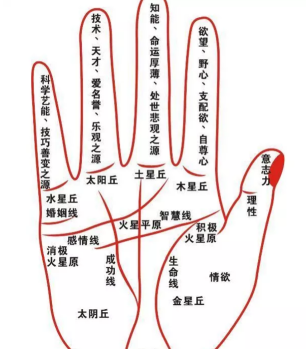 玄风命理|手相能看你一生富贵财富