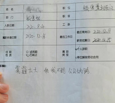 咸蛋的小姐 “00后的辞职报告能有多绝?”哈哈哈哈哈这么任性这么理直气壮吗?