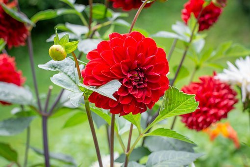 爱搞笑的小欧美|下个月,收获满满,重燃爱火,改正自新,遵循内心,脱单来袭