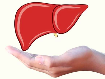 肝脏|肝不好的人，早起后会有“4黑、2臭”，养肝功，多做3事