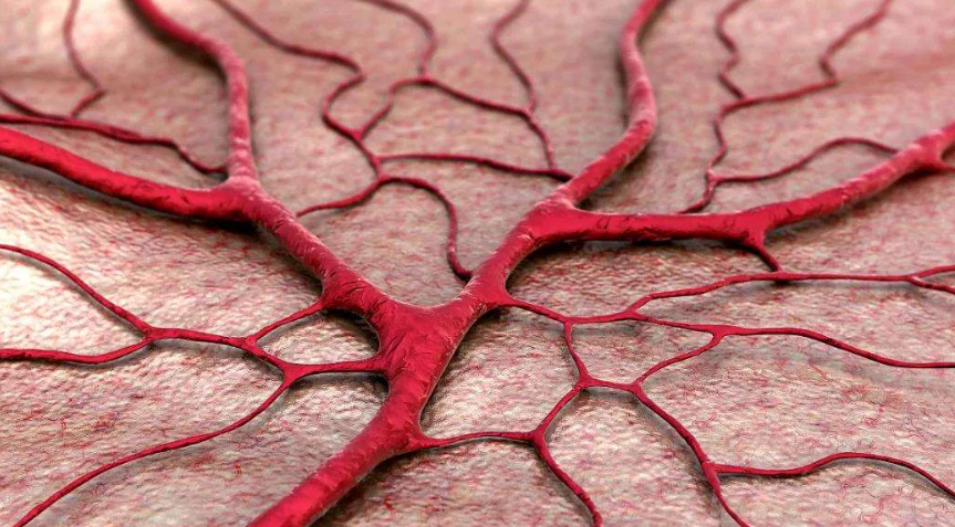 血栓|天然“溶栓剂”被发现,不是老陈醋,医生:你若常吃,血管一通到底