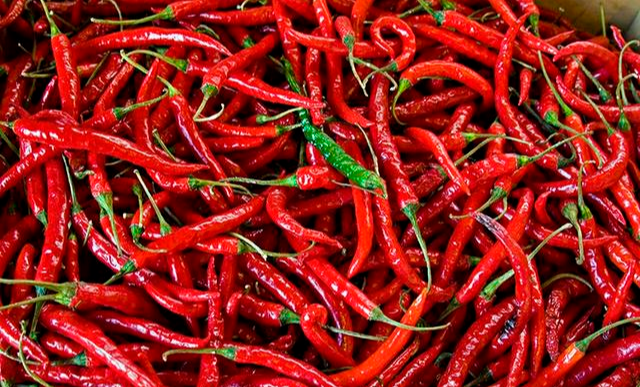 旋律的悲伤|河南人为什么把辣椒说成秦椒？