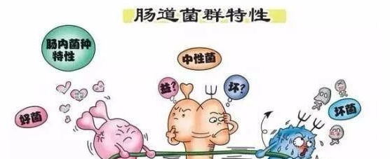 天涯海角 预防植物神经紊乱的小方法