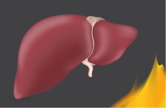 枸杞|吃一口胜过5斤枸杞，中医：肝不好的人常吃，肝脏毒素越来越少