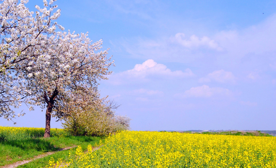 交易 期货交易中能盈利的原则多是简单朴实的